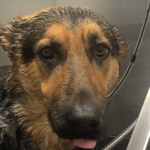 Meet your Posher, William